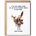 thumbnail image 1 of shiyou-Hilarious Birthday Card - Donkey Birthday Card - Ass Birthday Card - Two Donkeys Staring - Funny Card For Him Her, 1 of 4