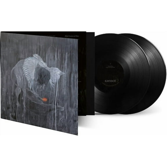 Kayo Dot - Every Rock, Every Half-Truth Under Reason - Music & Performance - Vinyl