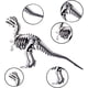 thumbnail image 4 of Kit de maquetas de rompecabezas de metal 3D JOMIOD Dilophosaurus para adultos, 4 of 8
