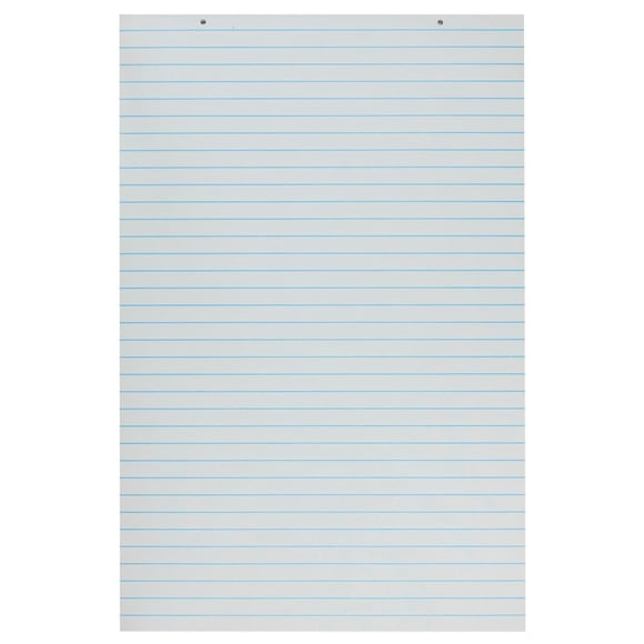 Chart Paper School Smart Primary 24 x 36 cm, 100 hojas