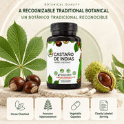 Castaño De Indias (Horse Chestnut Capsules) – 1500 mg per Serving, 90 Veggie Caps, 100% Natural, Premium Dietary Supplement, Made in USA – Supports Circulatory & Vein Health