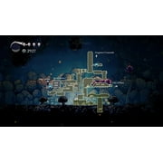 Hollow Knight NSW