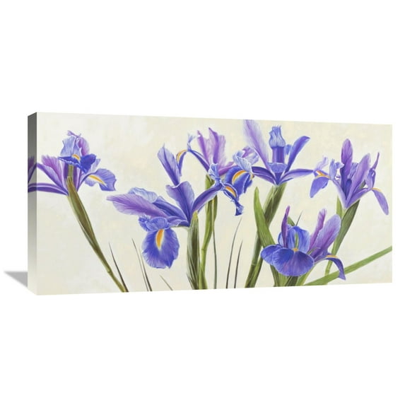 Global Gallery Elena Dolci 'Iris' Canvas Wall Art