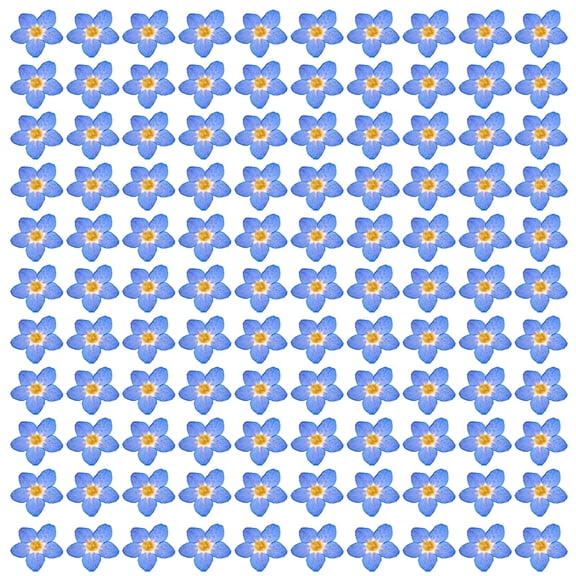 100 PCS Pressed Forget Me Not Flowers - Natural Blue Dried Flowers | Small Dried Flowers for Resin Jewelry, Phone Case Decoration, Scrapbooking & DIY Crafts
