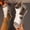 Beige, variant on PiGOGI Women Plus Size Open Toe High Top Back Zip Wedge Sandals Faux Leather Bohemian Summer Casual Silver