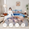 thumbnail image 3 of Manfei Cute Seashell Queen Comforter Set,Calm Ocean Sand Comforter Sets Queen,Creamy,Light Gray Reversible,3pcs,1 Comforter and 2 Pillowcases, 3 of 8