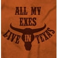 thumbnail image 2 of All Exes Live In Texas Lonestar State Women's Long Sleeve T Shirt Brisco Brands S, 2 of 6