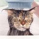 thumbnail image 1 of Suministros de limpieza para perros y gatos, cepillo de baño de silicona suave para perros y gatos, 1 of 6
