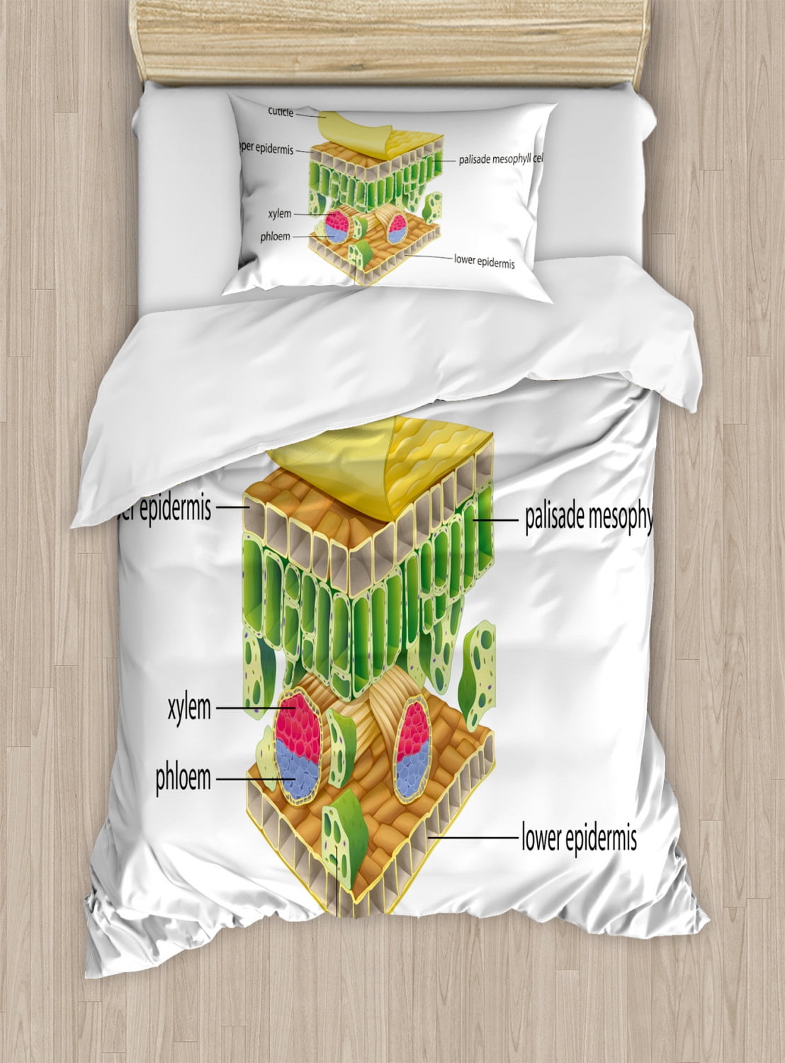 Educational Twin Size Duvet Cover Set, Anatomy of a Leaf Names of the