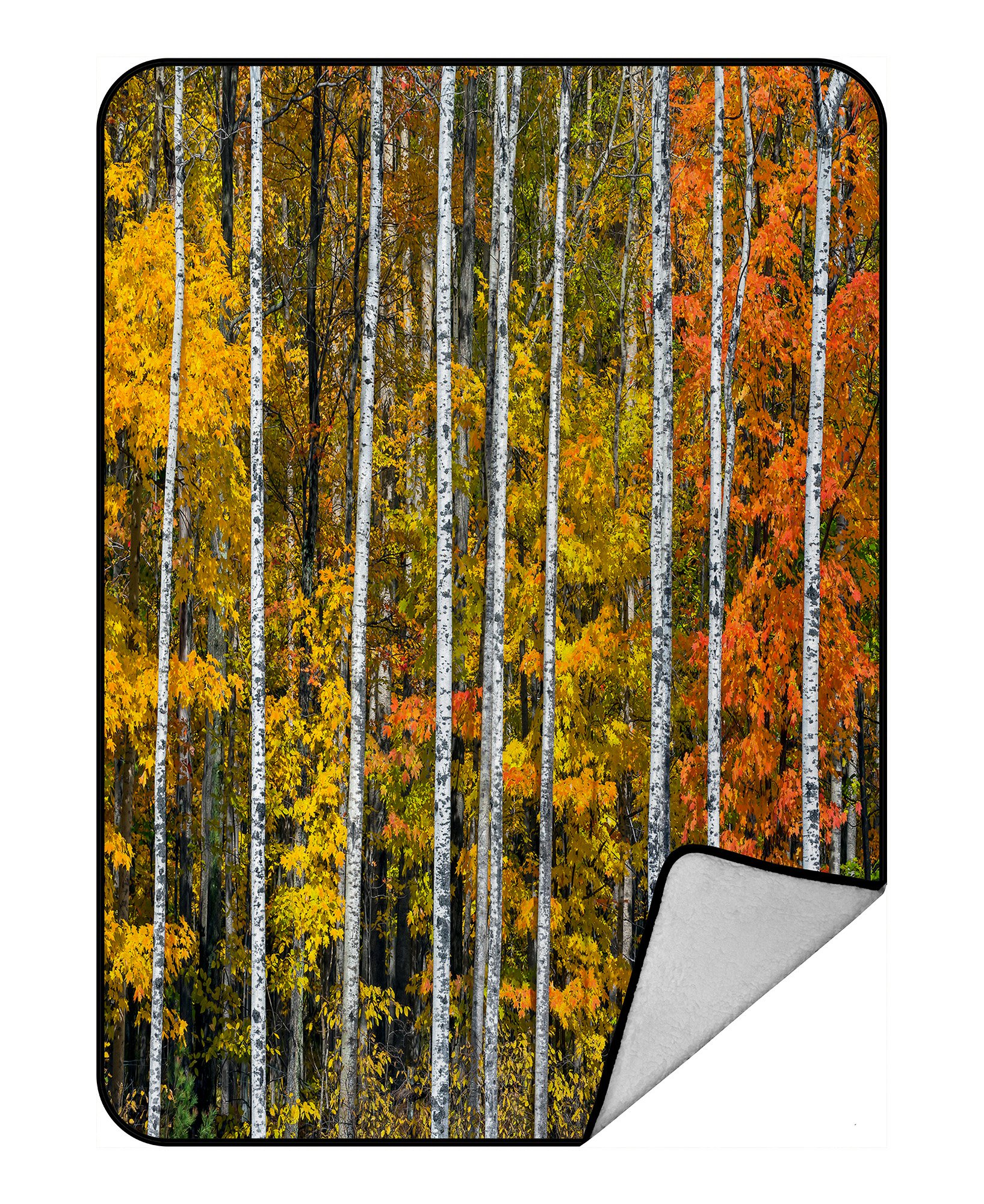 PHFZK Woodland Forest Blanket, Woodlsy Foliage Colorful Tree and Leaves