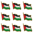 thumbnail image 1 of Pin Palestina Insignia Recuerdo Delicado Broche Con Forma Regalo, 1 of 5