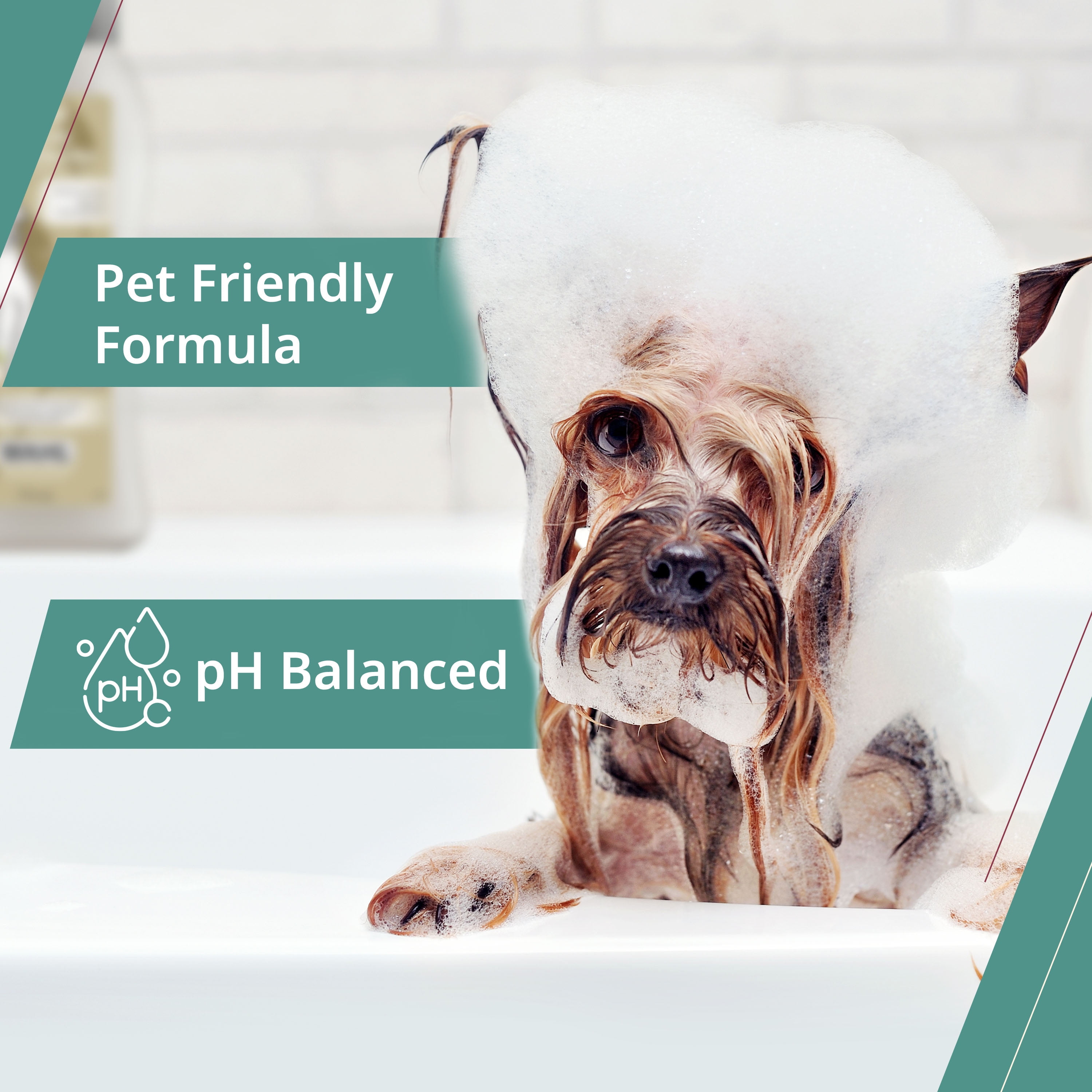 Shampooing désodorisant pour chiens Wahl - 700ml Rafraîchit et désodorise