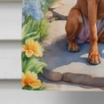 thumbnail image 4 of Rhodesian Ridgeback Spring Path House Flag, 4 of 5
