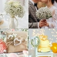 thumbnail image 6 of Preserved Baby's Breath 3 Bunches, 100% Natrual Fresh Gypsophila Long Lasting Flowers for Vase Arrangements Home Decoration Photo Props Parties and Weddings, DIY Décor-White, 6 of 12