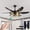 Black + ABS + Iron, variant on 52" Modern Black Ceiling Fan with Light, 6 Fan Blades and Industrial Cage Design, Adjustable Speed for Living Room, Bedroom, Dining Room (Silent/6-Speed/Reversible/DC Motor) (Bulb Not Included)