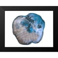 thumbnail image 2 of Lewis, Sheldon 14x12 Black Modern Framed Museum Art Print Titled - Saturn Rings Of Blue, 2 of 5