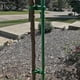 thumbnail image 5 of 10 Pieces Heavy Duty Plant Ties, 35cm Adjustable Tree Braces Garden Plant Ties Interlock for Bush Rose Support, 5 of 5