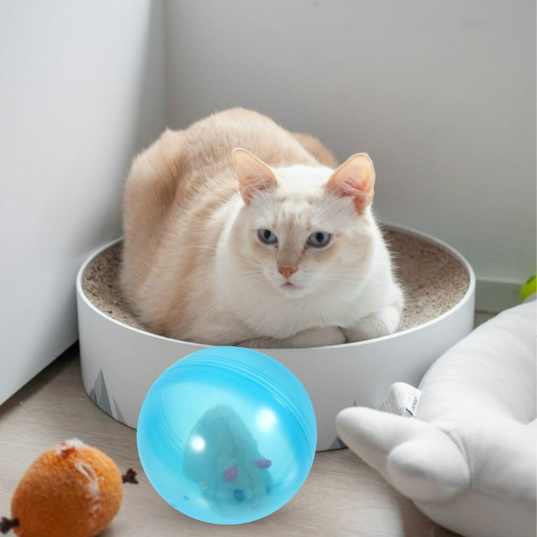 Hamster ball for cats discount