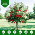 thumbnail image 5 of Poultry Netting 50x50 ft, 1" Square Mesh Heavy Duty Chicken Run Net, Garden Netting to Protect Plants, Fruit Trees, Vegetables from Birds, Deer, Pests & Animals for Farm, Orchard, Coop, 5 of 8