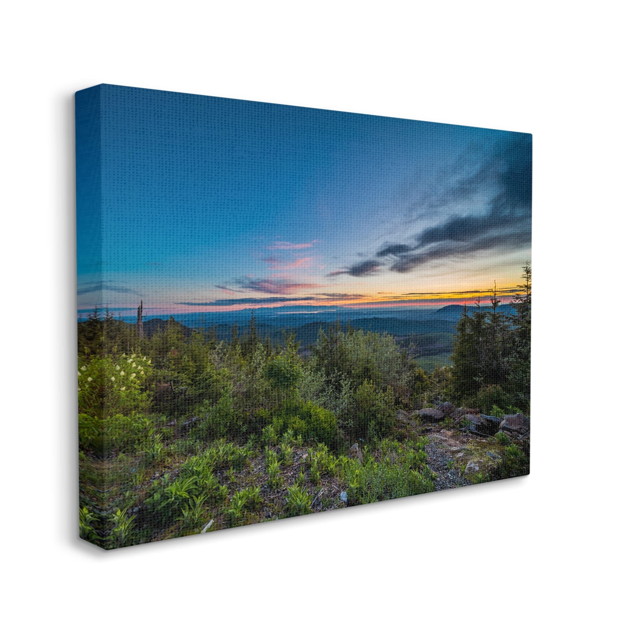 Stupell Industries Dense Brush Sunset Landscape Blue Sky Modern Photography, 30 x 24,Design by Keith Morgan