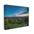 thumbnail image 3 of Stupell Industries Dense Brush Sunset Landscape Blue Sky Modern Photography, 30 x 24,Design by Keith Morgan, 3 of 5