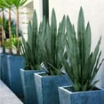thumbnail image 6 of Summer Flower 21pcs Fake Snake Plant Leaves Set,23inch Tall Faux Sansevieria Plants Outdoor,Artificial Snake Plant Leaf,4 Sizes for Indoor Home Decor,Office,Garden,Tabletop Floor Decorations, 6 of 7