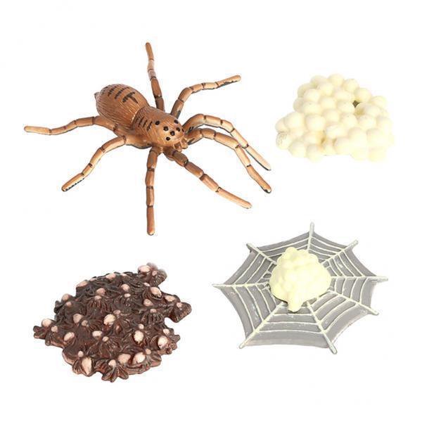 Figurilla de Aprendizaje 2x de Modelos Naturaleza Bug Crecimiento Perfke Juego de crecimiento de insectos para niños
