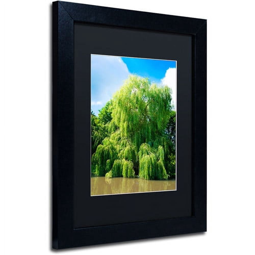 Trademark Fine Art "Weeping Willow" Canvas Art by Philippe Sainte-Laudy, Black Matte, Black Frame