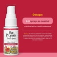 thumbnail image 3 of Natural Factors Bee Propolis Throat Spray, Helps Soothe a Sore Throat and Support Energy Levels, 1 Oz, 3 of 6