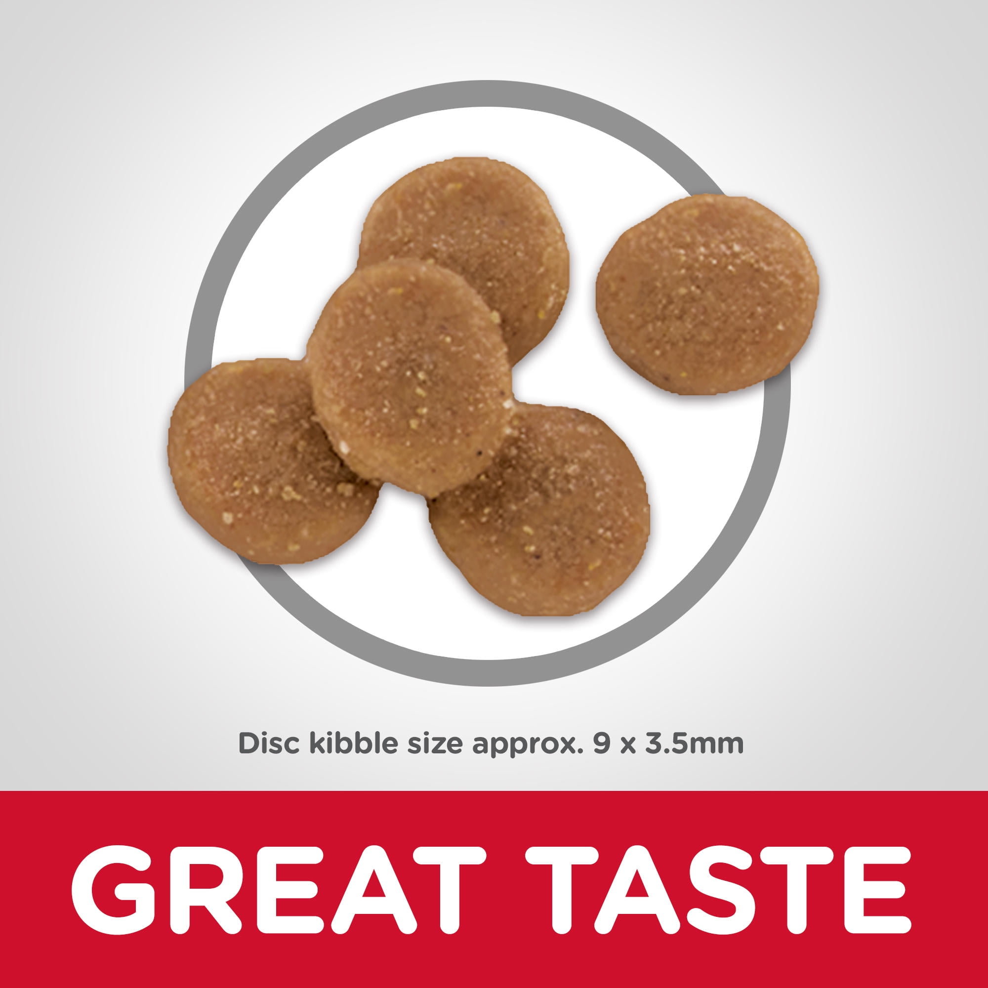 science diet egg and rice cat