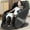 Black, variant on RELX Massage Chair Full Body, Zero Gravity Airbag Shiatsu Massage Chair with SL-Track, Heating, AI Control, Body Scan, 13 Modes, Foot Rollers, and Deep Yoga Stretch (Beige)