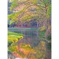 thumbnail image 2 of Gulin, Sylvia 25x32 Black Ornate Wood Framed with Double Matting Museum Art Print Titled - Georgia-Callaway gardens springtime, 2 of 4