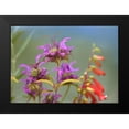thumbnail image 2 of Fitzharris, Tim 24x18 Black Modern Framed Museum Art Print Titled - Lemon Mint, 2 of 5