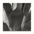 thumbnail image 2 of Gango Home Decor Agave II by Rita Crane (Printed on Paper); One 24x24in Fine Art Paper Giclee Print, 2 of 4