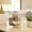 White, variant on Marble Knot Sculpture for Home Decor - Statue Ornament for Shelf, Coffee Table, and Bedroom Styling - Modern Home Accent for Bathroom, Office Desk, and Living Room - 6", White & Tan