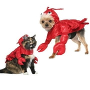 Vibrant Life Halloween Dog Costume and Cat Costume: Lobster, Size Medium