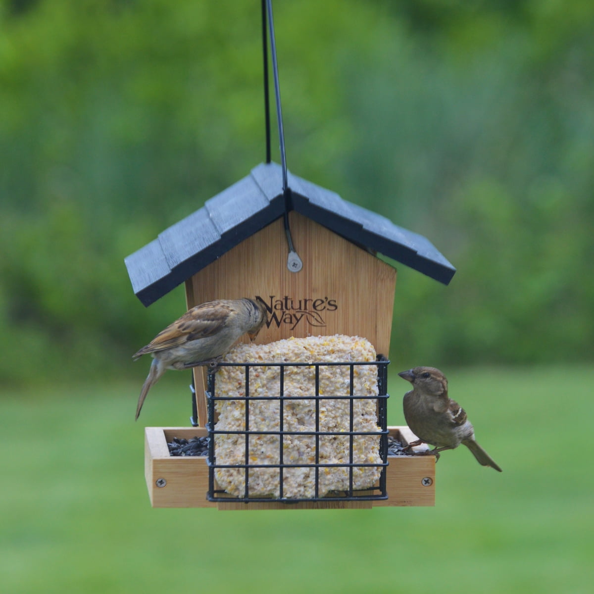 Nature's Way Bamboo Hopper Bird Feeder w/ Suet 3QT 2 Cakes, Brown