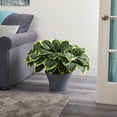 thumbnail image 3 of 23in. Variegated Hosta Artificial Plant in Gray Planter, 3 of 3