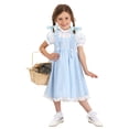 thumbnail image 7 of Toddler Deluxe Kansas Girl Costume, 7 of 7