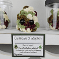 thumbnail image 2 of Adopt A Weed Plushie,Jar Funny Plush Desktop Accessories A, 2 of 5
