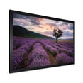 thumbnail image 2 of Designart 'Lavender Field At Sunrise III' Farmhouse Framed Art Print, 2 of 4