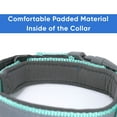 thumbnail image 6 of Pawtitas Martingale Padded Reflective Dog Collar Lumberjack Dog Collar Extra Small Teal, 6 of 10