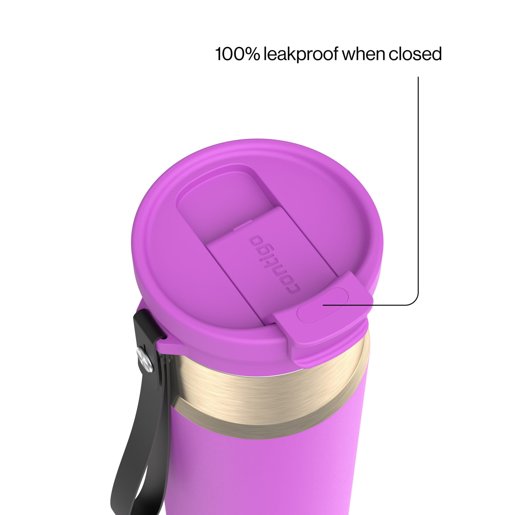 Contigo 24 oz DualSip Stainless Steel Leak-Proof Insulated Water Bottle with Straw or Sip Lid and Carry Strap, Purple/Champagne