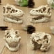 thumbnail image 3 of Adorno para acuario, paisajismo, cabeza, hueso, cueva, decoración acuática, terror, miedo, atmósfera espeluznante, simulación de reptil Suministros de alimentación y agua para mascotas Pequeña Methold PT004365-01, 3 of 6