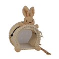thumbnail image 4 of DOLITY Bird Carrier Bag Bag Guinea Pig Carrier for Guinea Pig Small Parrots Budgies Rabbit A, 4 of 9