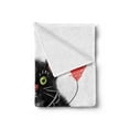 thumbnail image 2 of Kitty Soft Flannel Fleece Throw Blanket, Sketch of a Cat Holding a Heart Balloon, Cozy Plush for Indoor and Outdoor Use, 60" x 80", Charcoal Grey Dark Coral, by Ambesonne, 2 of 5