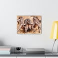 thumbnail image 3 of Magnificent Looking Wolf Spider Print Animal Wall Art Wildlife Canvas Prints Wall Art Ready to Hang Unframed, 3 of 18