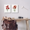 thumbnail image 2 of Stupell Industries Poppy Bunch Studies Floral Painting Wrapped Canvas Canvas Art Print Wall Art, 16 x 20, Set of 2, 2 of 7