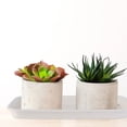 thumbnail image 1 of unbranded 5Ud Para Planta Antideslizante Beige Plástico Resistente Para, 1 of 8