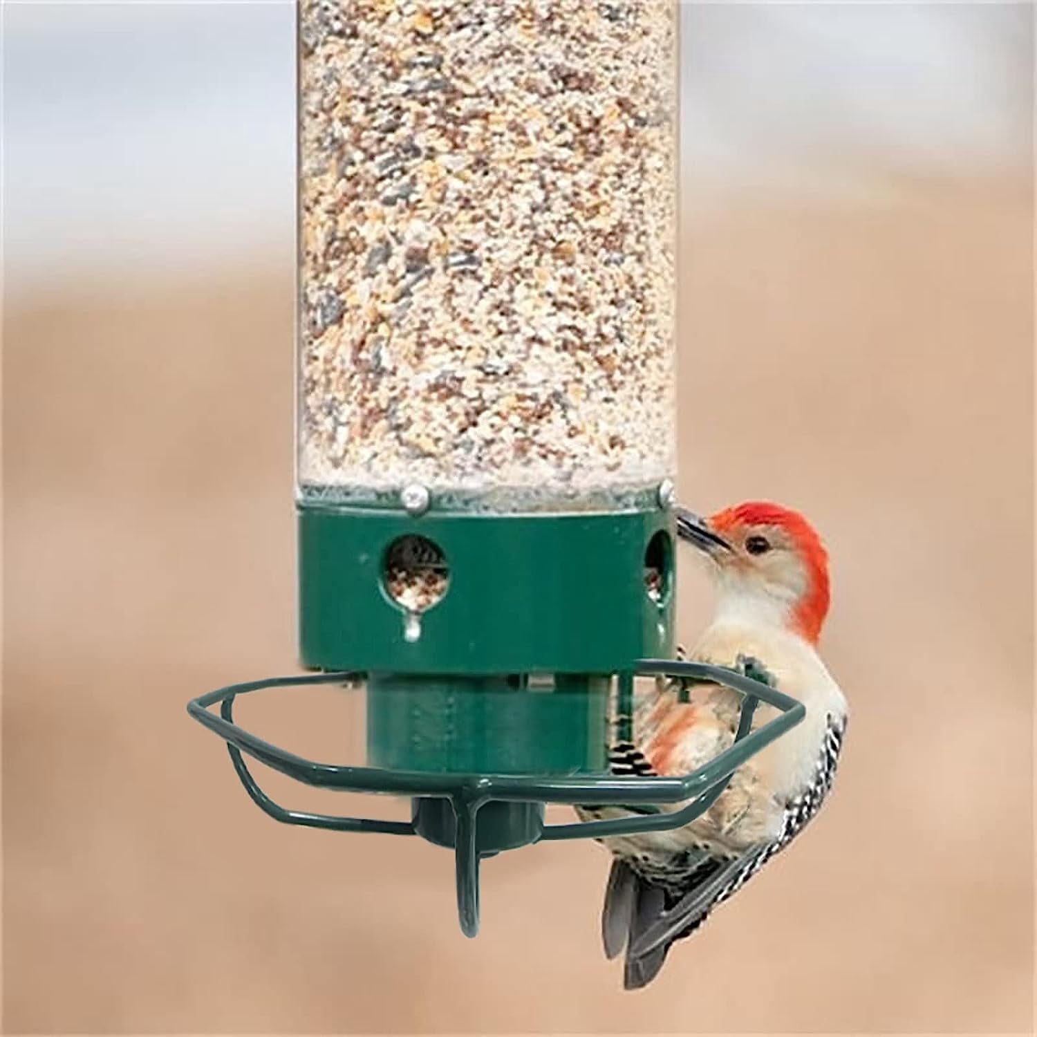 Bird Feeders Squirrel Proof for Outside,2025 New Metal Spinning Bird Feeder,Hanging BirdFeeders for Outside Outdoor,5Lbs Feeder Capacity